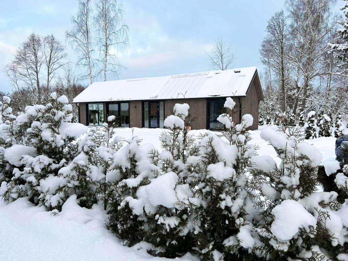 Paerli Puhkemaja / Pearl Riverside House Pudisoo Dış mekan fotoğraf
